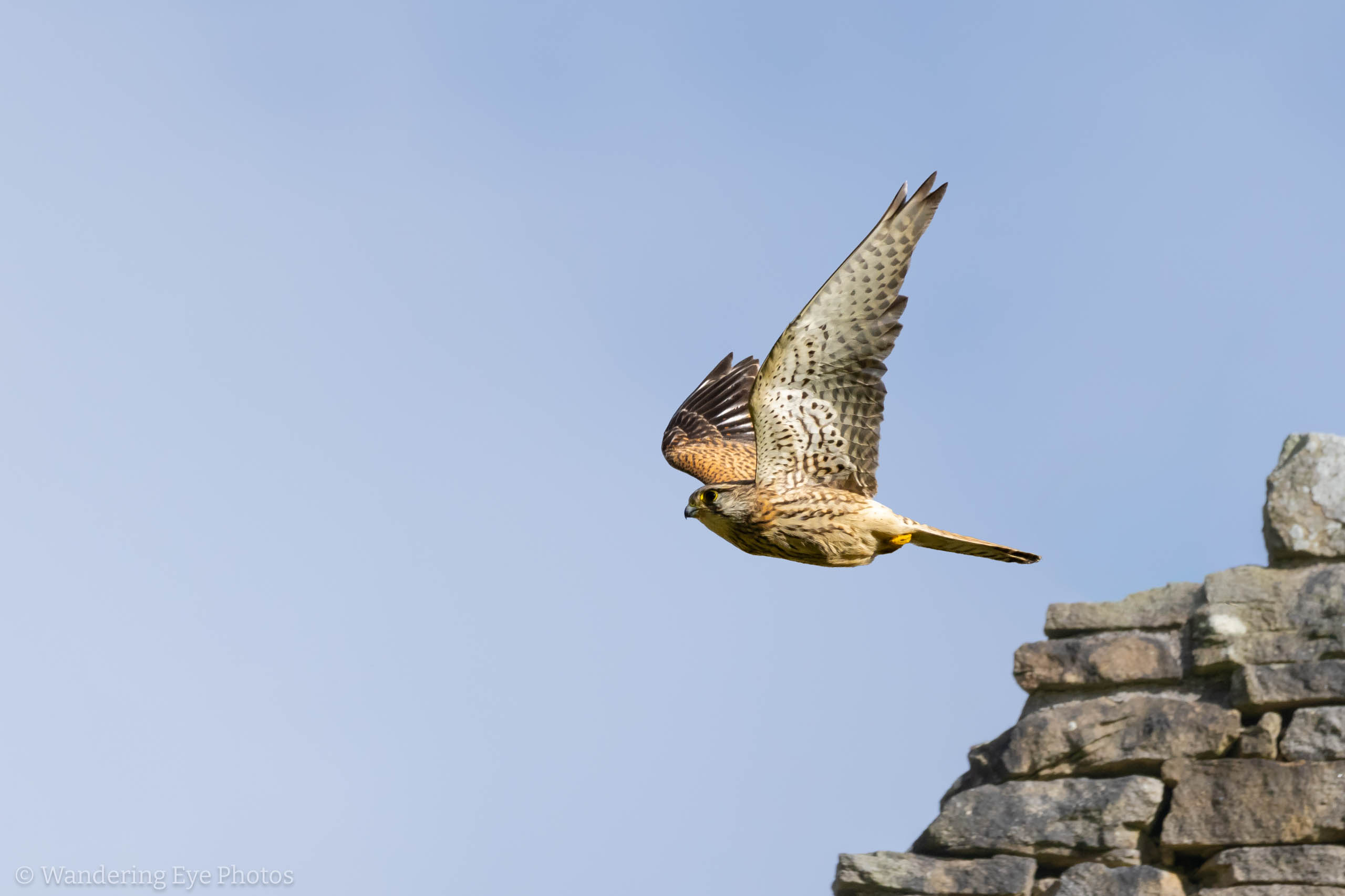 09.27 16.07.47 DSC03845 Edit